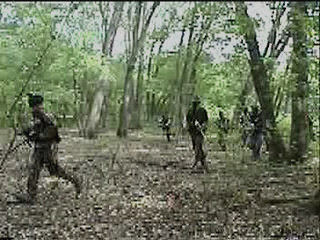 paintball video woodsball